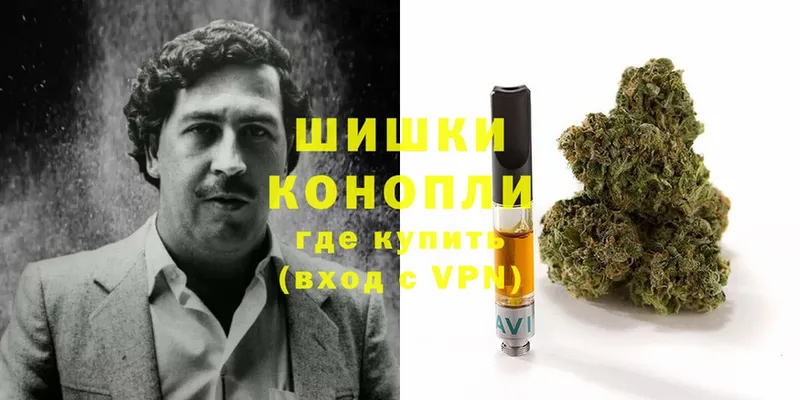 Канабис White Widow  где купить наркотик  Йошкар-Ола 